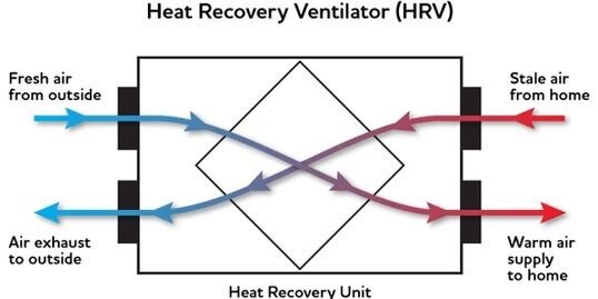 HRV-from-TNG
